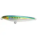 Sardine