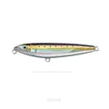 Real Sardine