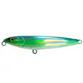 Mackerel