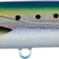 Sardine