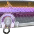 Flashy Shad