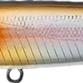 Holo Shad