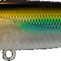 Tennessee Shad