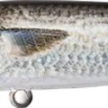 Mullet