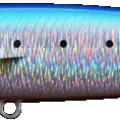 Hot Belly Sardine