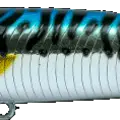 Mackerel