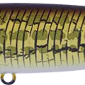 Matt Raigyo
