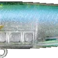 Translucent Ayu