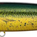 Mahi