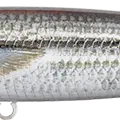 Mullet