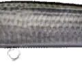 Mullet