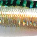 Mackerel