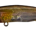 Ayu