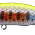 Chartreuse Yamame