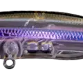 Flashy Shad
