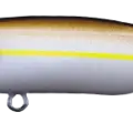 Sexy Shad
