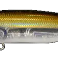Tennessee Shad