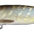 Mimetic Pike