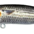 Mimetic Mullet