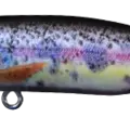 Mimetic Trout