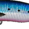 Hot Belly Sardine