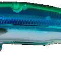 Green Back