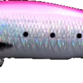 Pink Holo