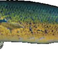 Mimetic Mahi