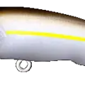 Sexy Shad