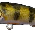 Perch