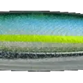 Magic Shad