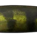 Mimetic Perch