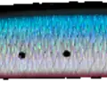 Hot Belly Sardine