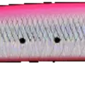 Pink Sardine