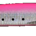 Pink Sardine