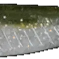 Olive Shad