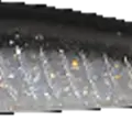 Silver Shad