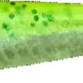 Chartreuse