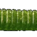 Watermelon No Flake