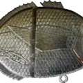 Annular Seabream