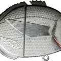 Saddled Seabream