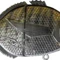 White Seabream