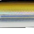 Tennessee Shad
