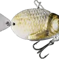 Crucian Carp