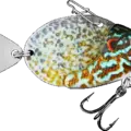 Pumpkinseed
