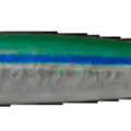 Anchovy