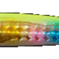 Chartreuse Rainbow
