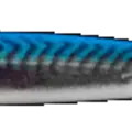 Mackerel