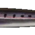 Sardine