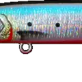 Hot Belly Sardine